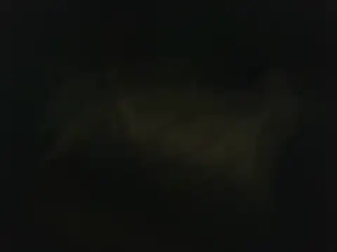 wolfffff32 online show from October 2025 07:38:02 PM