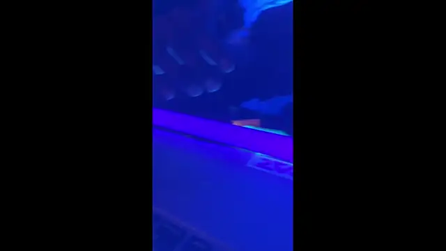 Snapshot of misterincred chatting on November 2025 06:03:01 AM misterincred online show from November 2025 06:03:01 AM