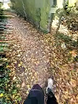 bbyxklaus online show from November 2025 12:21:02 PM