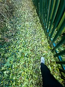 bbyxklaus online show from October 2025 03:19:02 PM