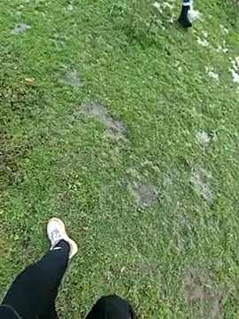 bbyxklaus online show from November 2025 11:15:02 AM