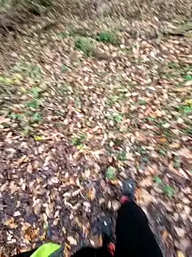 bbyxklaus online show from December 2025 02:10:01 PM