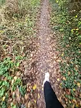 bbyxklaus online show from November 2025 11:25:02 AM