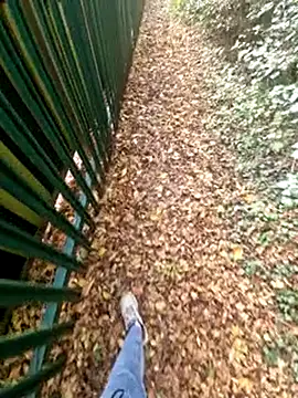 bbyxklaus online show from November 2025 10:30:01 AM