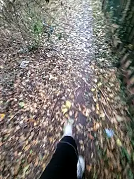 bbyxklaus online show from November 2025 12:31:02 PM