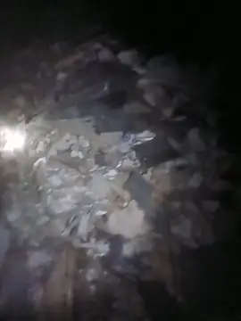 1stcumngo online show from November 2025 01:20:02 AM