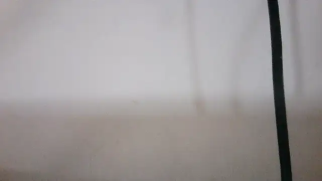 NATTYDOLL74 online show from February 2026 09:43:02 PM