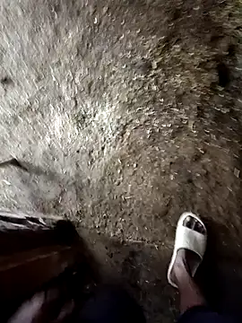 Snapshot of Saddam2332 chatting on October 2025 03:36:01 AM Saddam2332 online show from October 2025 03:36:01 AM