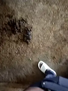 Snapshot of Saddam2332 chatting on November 2025 02:58:02 AM Saddam2332 online show from November 2025 02:58:02 AM