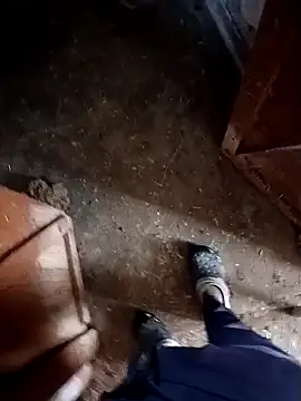 Snapshot of Saddam2332 chatting on November 2025 02:48:02 AM Saddam2332 online show from November 2025 02:48:02 AM