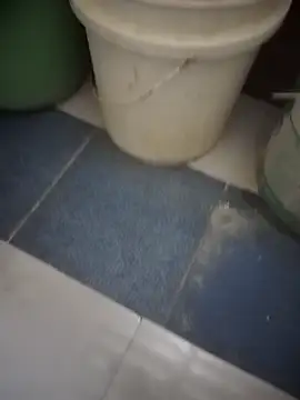 HeatableRevan online show from March 2026 12:21:01 AM