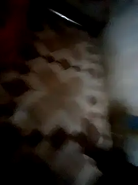 Snapshot of bindasbruno chatting on November 2025 08:19:02 AM bindasbruno online show from November 2025 08:19:02 AM