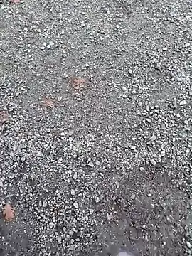 Snapshot of Imyourguy2025 chatting on November 2025 02:11:01 PM Imyourguy2025 online show from November 2025 02:11:01 PM