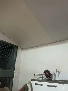 wellingtonmds online show from December 2025 02:01:01 AM