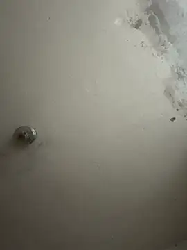 wellingtonmds online show from November 2025 01:12:01 AM