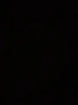 wellingtonmds online show from November 2025 09:46:01 AM