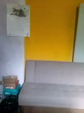 876tom online show from March 2026 05:41:02 PM