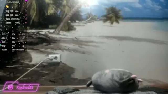 kimberd33 online show from February 2026 03:12:02 PM