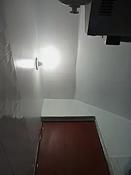 celeste 83 online show from October 2025 04:19:01 PM