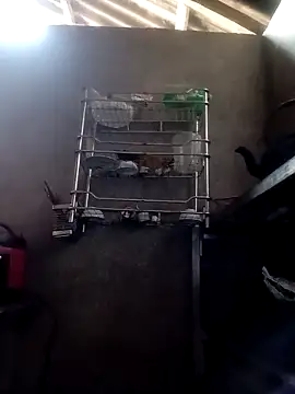 kokoto-59 online show from February 2026 06:46:01 AM