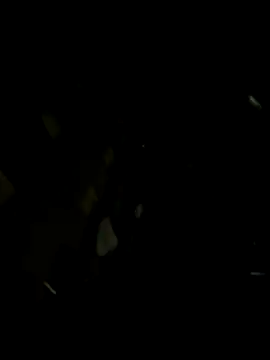 Paapii1098 online show from December 2025 10:32:01 PM