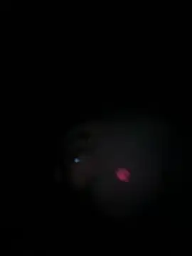 Paapii1098 online show from March 2026 08:05:02 PM