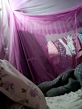 Bear bear0 online show from February 2026 03:34:02 PM