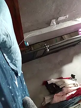 Bear bear0 online show from March 2026 12:49:02 AM