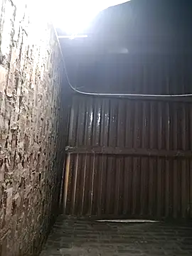 Bear bear0 online show from January 2026 12:39:02 AM