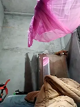 Bear bear0 online show from December 2025 01:28:01 AM