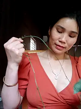 Bear bear0 online show from March 2026 09:51:02 AM