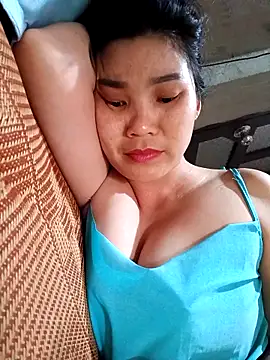 Bear bear0 online show from April 2026 06:19:02 AM