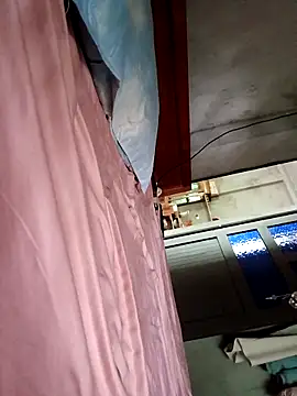 Bear bear0 online show from April 2026 01:43:01 AM