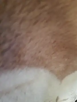 Snapshot of Perfect_size chatting on November 2025 08:59:02 AM Perfect size online show from November 2025 08:59:02 AM