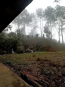 Snapshot of sowbibi chatting on December 2025 02:17:02 AM sowbibi online show from December 2025 02:17:02 AM