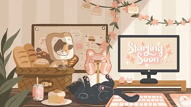 Snapshot of geekycastillo chatting on December 2025 05:02:01 PM geekycastillo online show from December 2025 05:02:01 PM