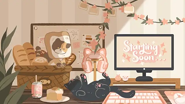 Snapshot of geekycastillo chatting on November 2025 11:49:01 PM geekycastillo online show from November 2025 11:49:01 PM