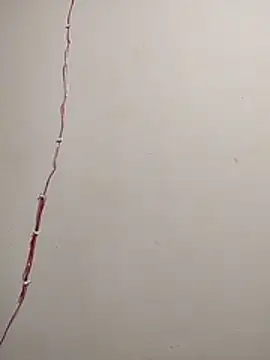 cutepussy356 online show from December 2025 11:09:02 AM