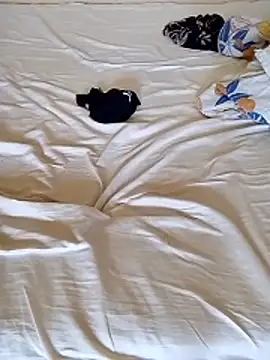 cutepussy356 online show from March 2026 06:39:01 AM
