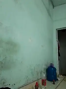  LAN  online show from October 2025 10:49:02 PM