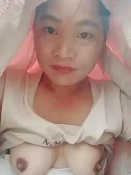  LAN  online show from March 2026 05:36:02 AM