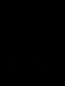  LAN  online show from March 2026 09:51:02 PM