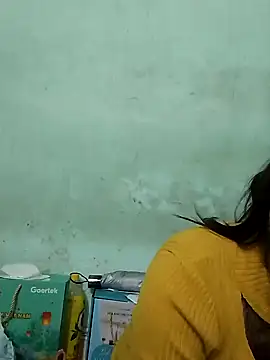  LAN  online show from November 2025 10:47:01 PM