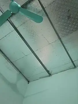  LAN  online show from October 2025 01:37:02 AM