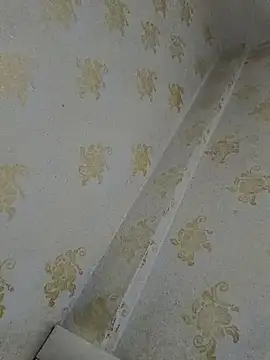 VendedPants online show from December 2025 07:56:01 AM