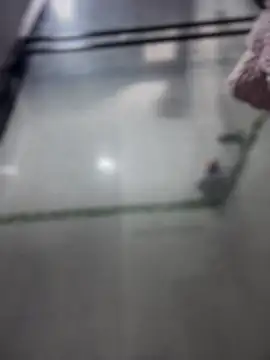 Violeet-Smith online show from March 2026 02:51:02 PM