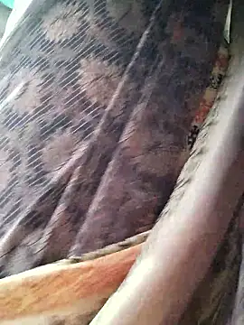 Ankitahot1993 online show from January 2026 01:56:02 AM