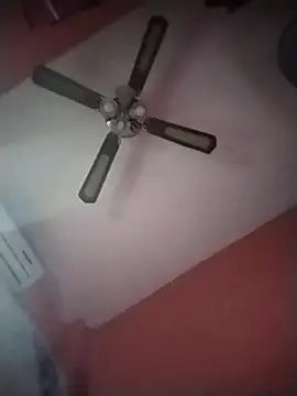 Snapshot of Danii2005 chatting on November 2025 06:56:01 PM Danii2005 online show from November 2025 06:56:01 PM