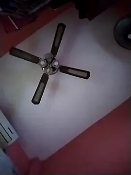 Snapshot of Danii2005 chatting on October 2025 01:42:05 PM Danii2005 online show from October 2025 01:42:05 PM