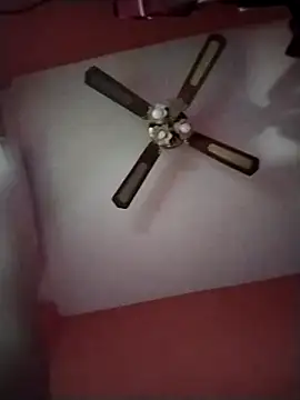 Snapshot of Danii2005 chatting on December 2025 01:54:02 PM Danii2005 online show from December 2025 01:54:02 PM